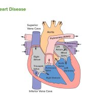 Unveiling Opportunities in 2023: Exploring Heart Failure Management within the Evolving Landscape of Hypertension Medications