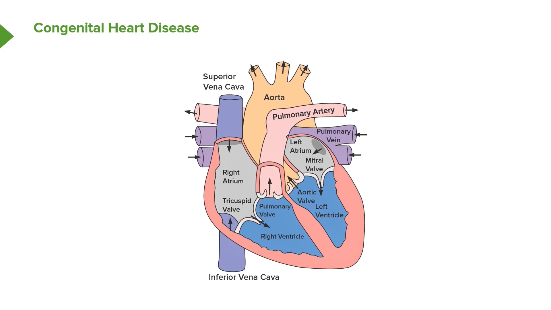 Unveiling Opportunities in 2023: Exploring Heart Failure Management within the Evolving Landscape of Hypertension Medications