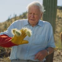 Exploring the World Anew: David Attenborough Returns at 97 to Present Planet Earth III