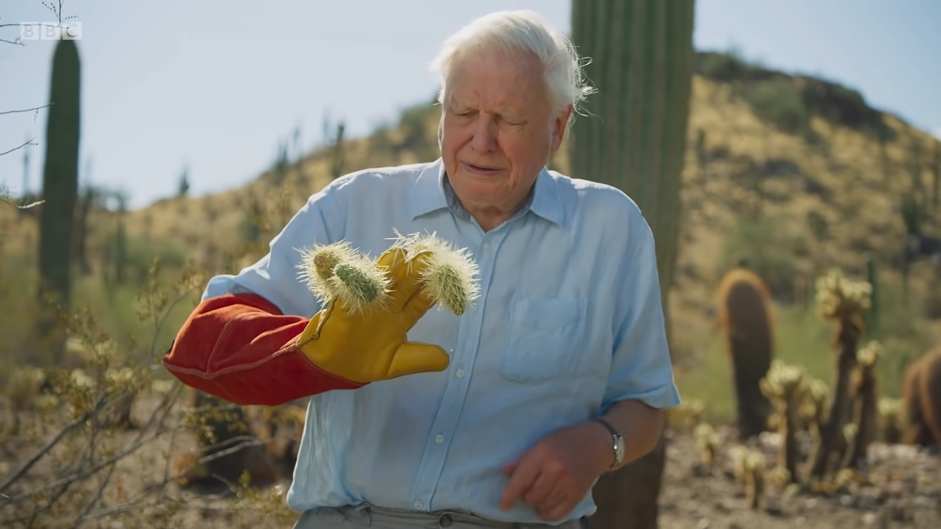 Exploring the World Anew: David Attenborough Returns at 97 to Present Planet Earth III