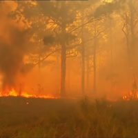 Queensland Faces Unprecedented Bushfire Threat Amidst Scorched Conditions