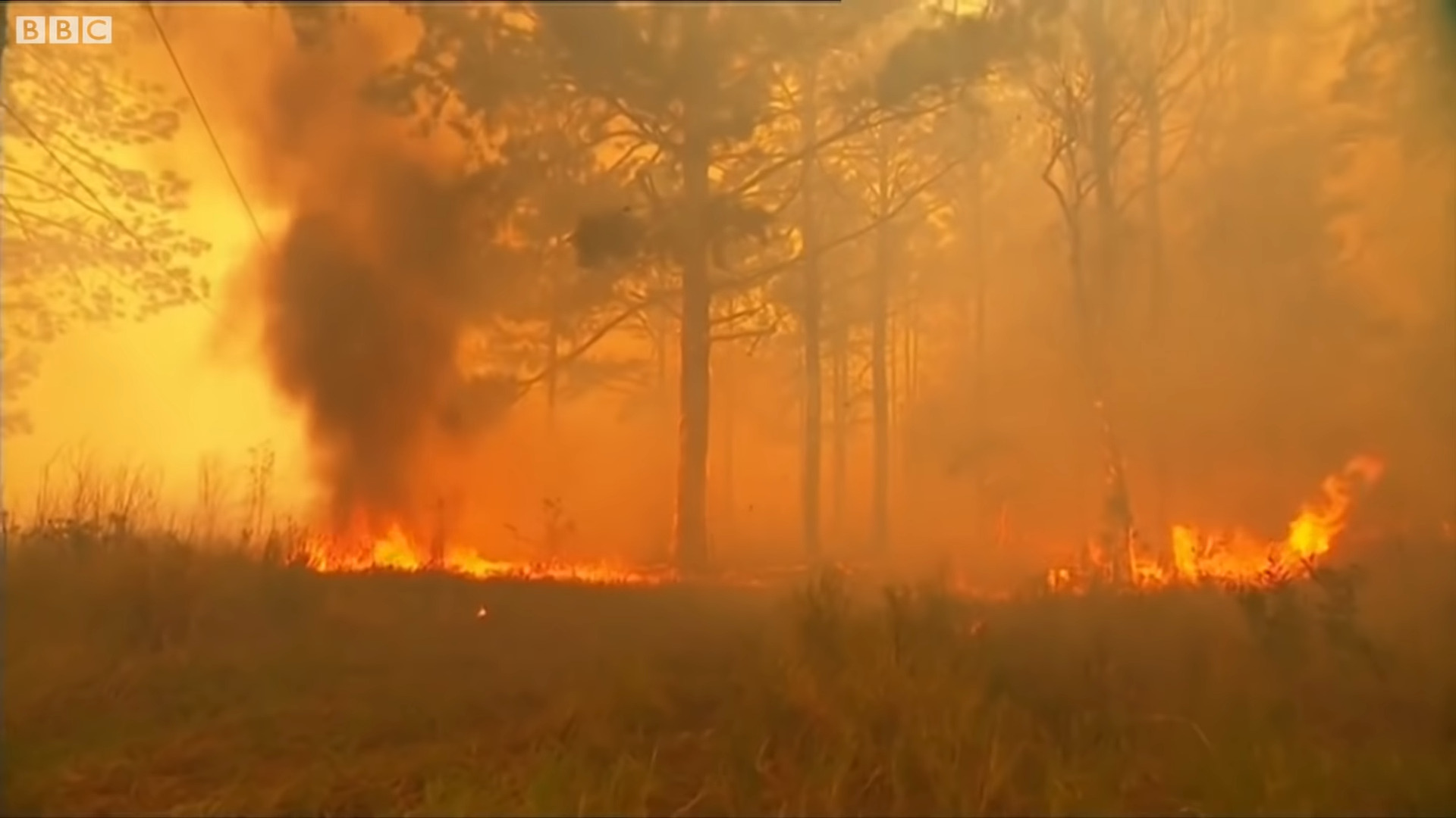 Queensland Faces Unprecedented Bushfire Threat Amidst Scorched Conditions