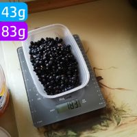 Unveiling the Bilberry Bonanza: A Look into the Bilberry Extract Market