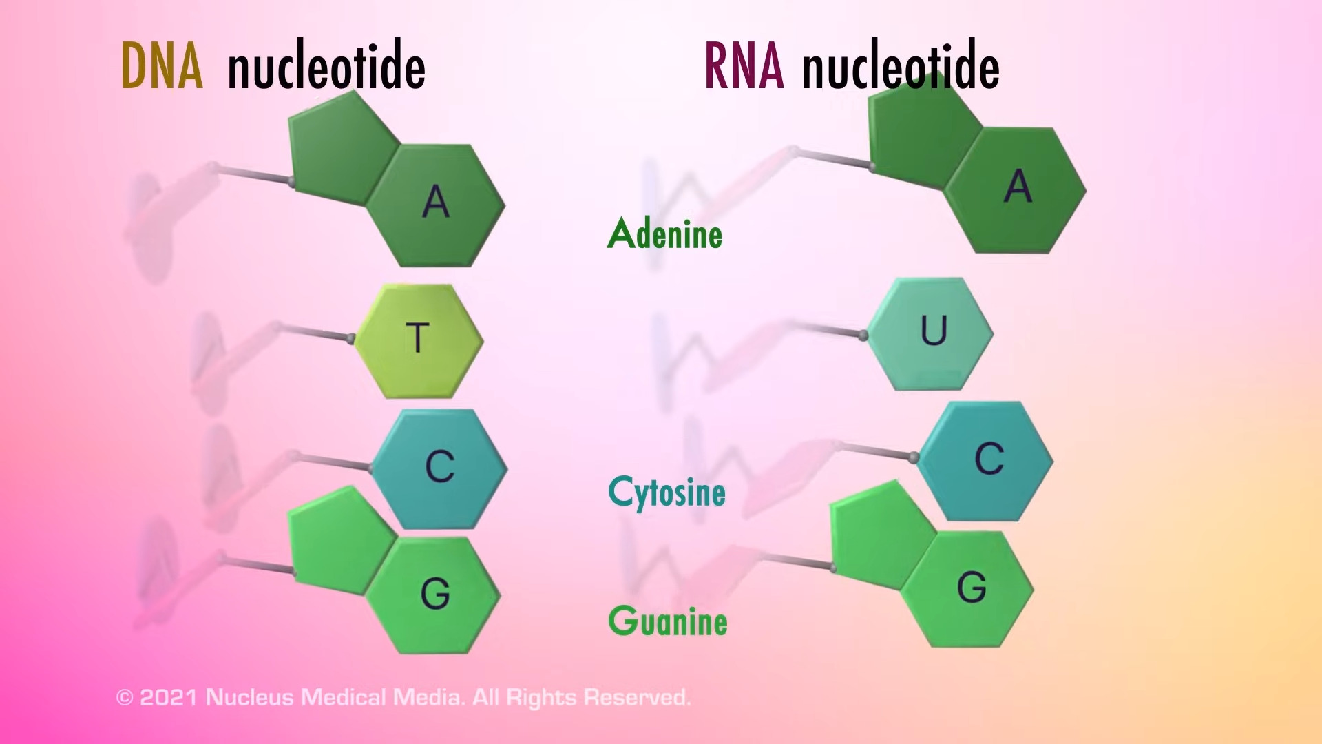 Exploring the Role of Nucleic Acid in the Global Liquid Helium Market: Trends and Forecasts for 2023-2029