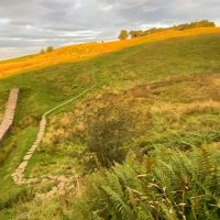 Sycamore Gap: Iconic Hadrian's Wall Tree Mysteriously Felled Overnight