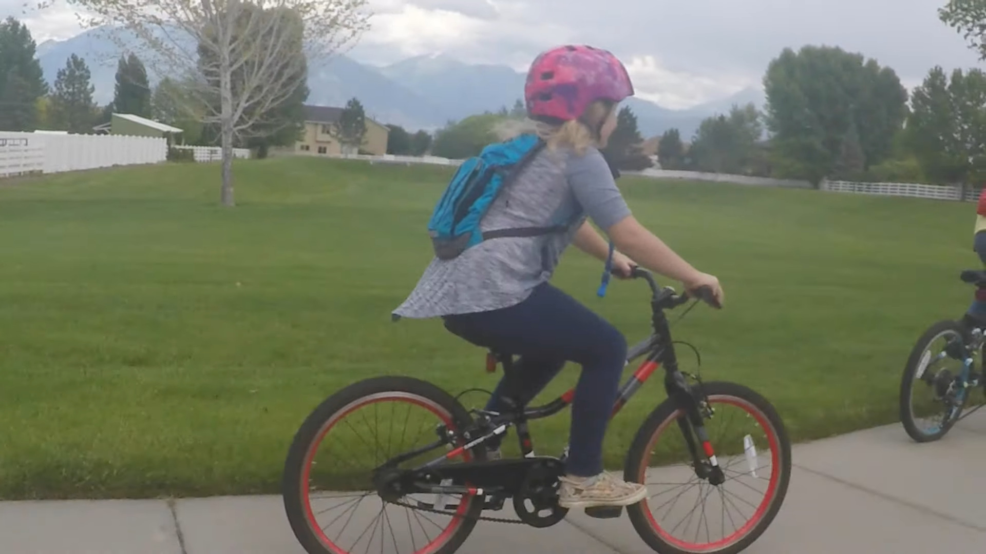 Exploring the Kids Bicycle Market: A Journey with the Bicycle Trailer