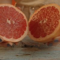 Unlocking the Delight of Grapefruit: A Safe Guide to Masterful Cutting