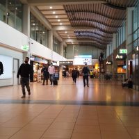 "Security Alert Temporarily Grounds Flights at Hamburg Airport"