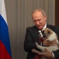 Vladimir Poutine's Future in Question: A Distant Birthday Celebration