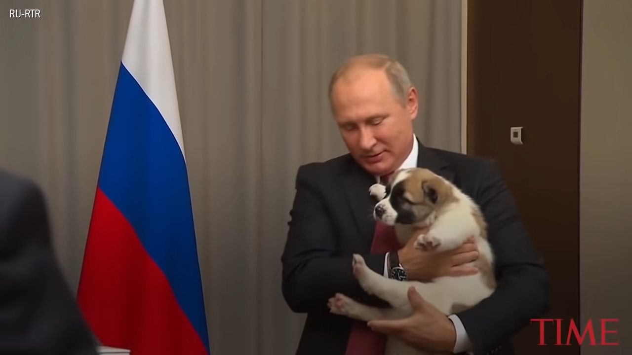 Vladimir Poutine's Future in Question: A Distant Birthday Celebration