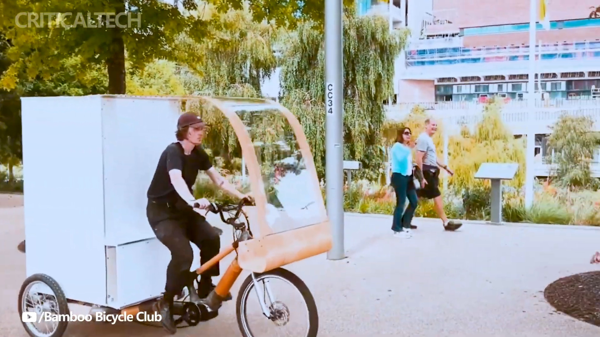 "Rolling in Sustainable Style: Meet the Cargo Bike that Can Handle 250 kg!"