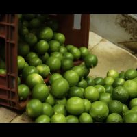 Samba of Citrus: Limes from Brazil Tango into European Hearts in 2023