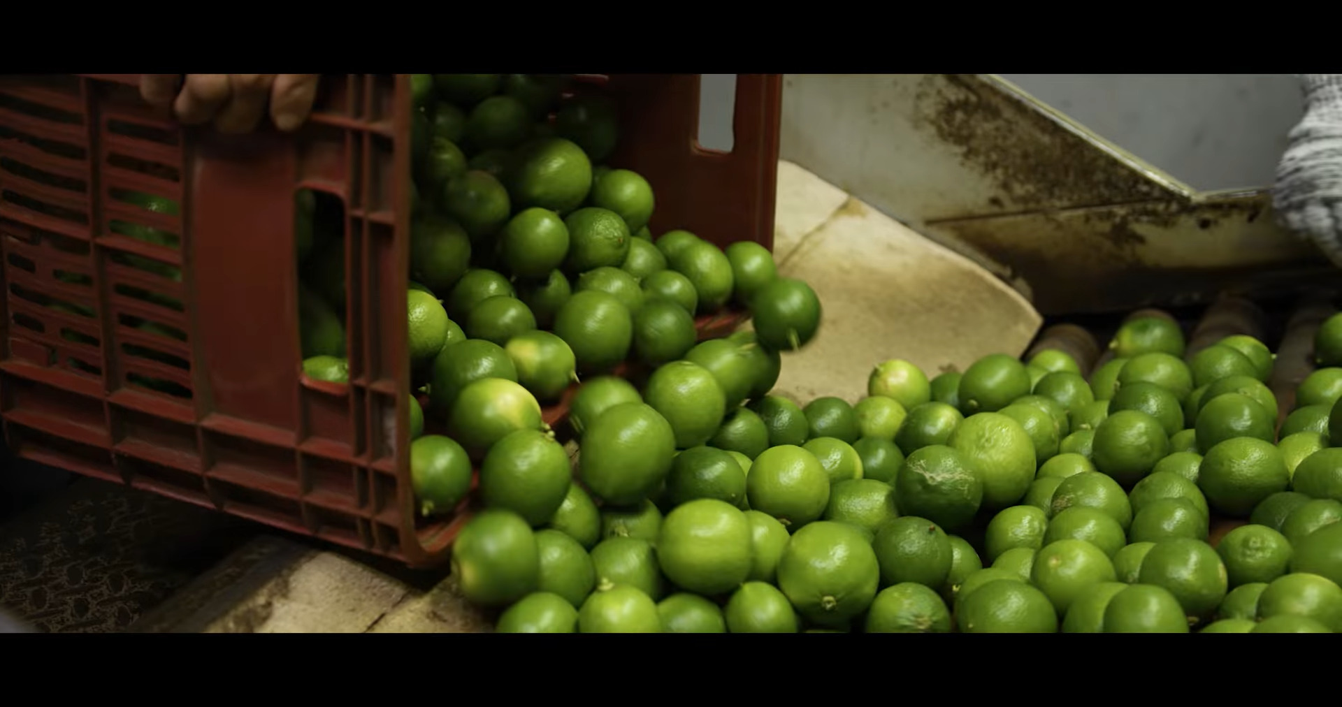 Samba of Citrus: Limes from Brazil Tango into European Hearts in 2023