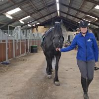 Horsing Around: A Hoof-tastic Extravaganza at the Eastern States Exposition