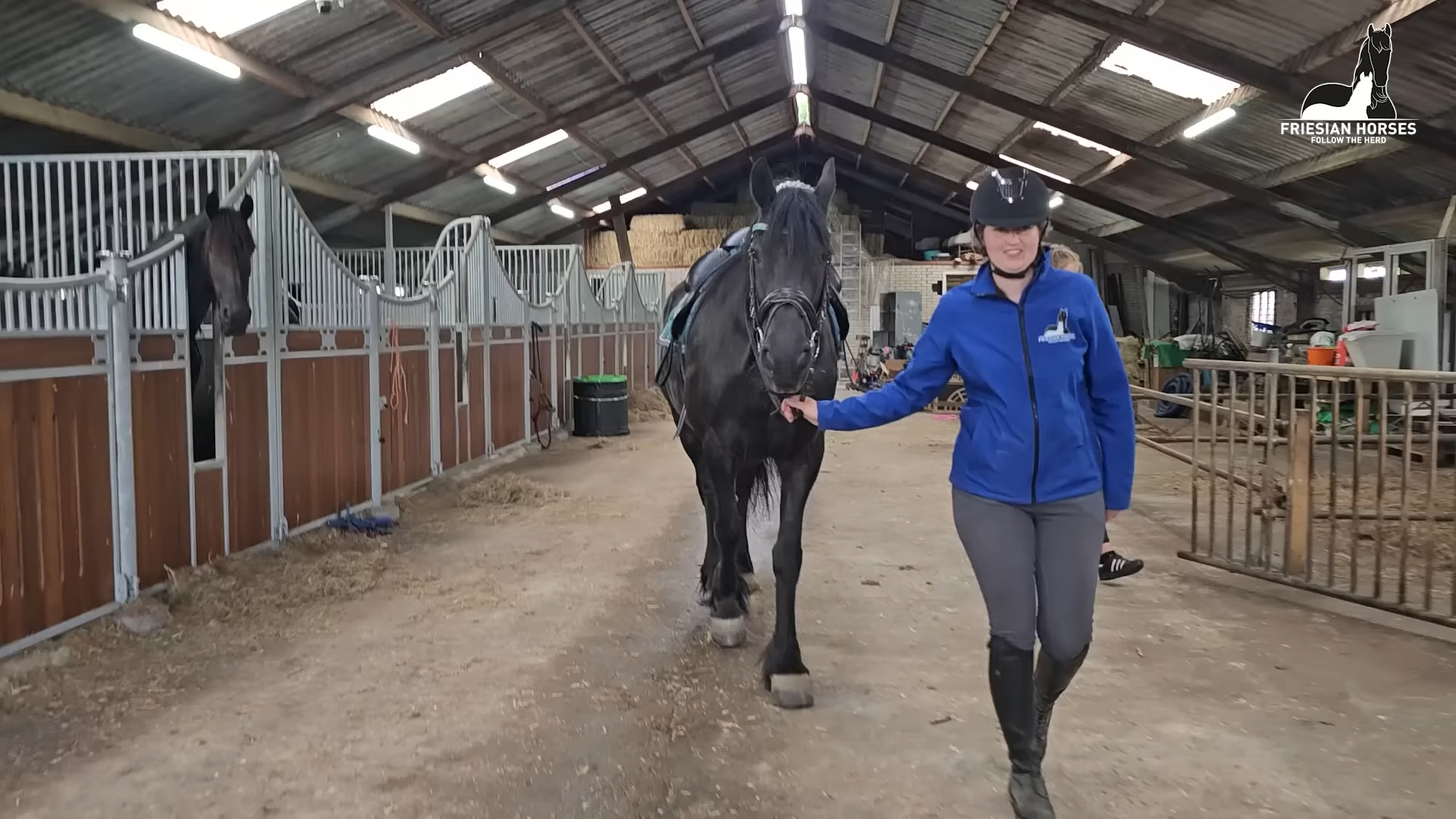 Horsing Around: A Hoof-tastic Extravaganza at the Eastern States Exposition