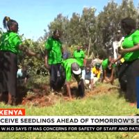 "Kenyan Green Day Extravaganza: Planting 100 Million Seeds for a Greener Tomorrow"