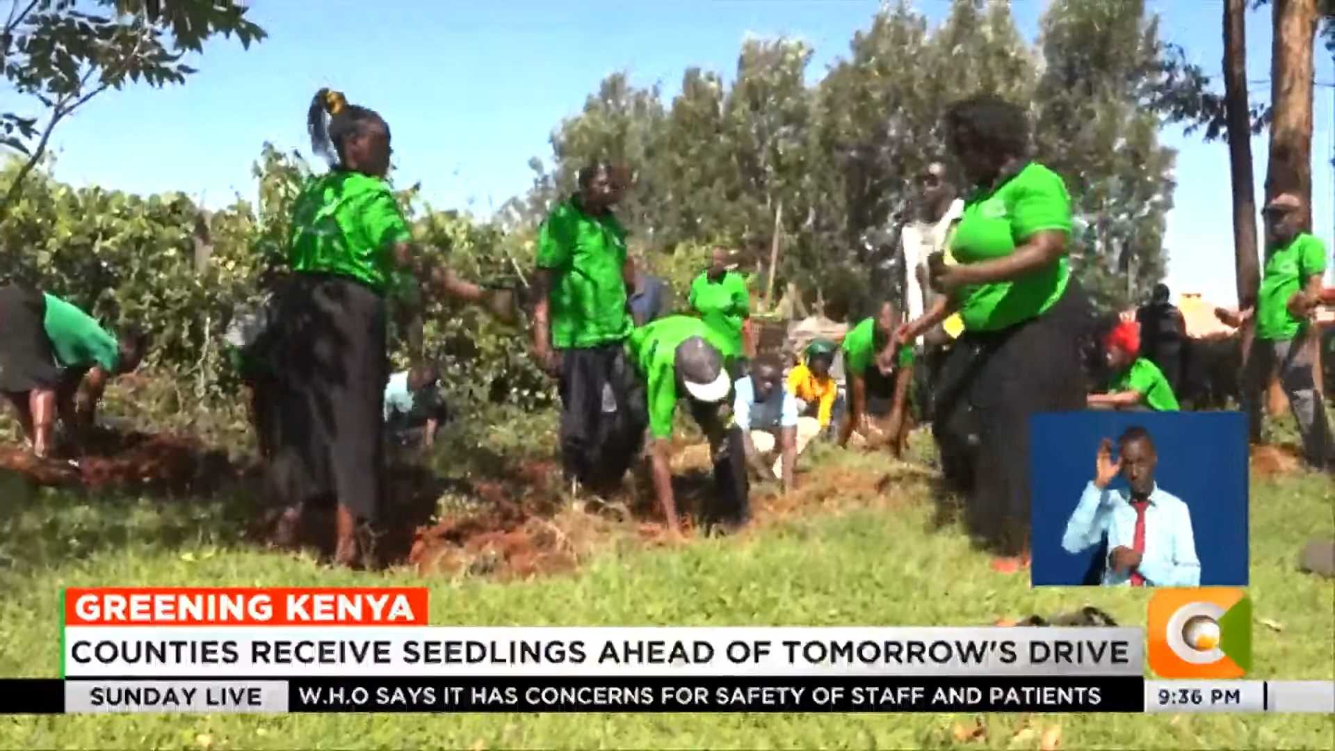 "Kenyan Green Day Extravaganza: Planting 100 Million Seeds for a Greener Tomorrow"