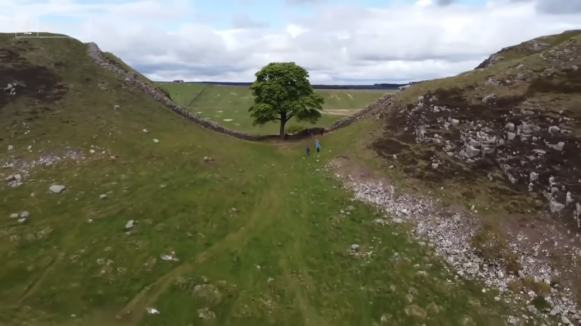 "Sycamore Saga Unfolds: Two More Detained in Connection with Sycamore Gap Tree Incident"